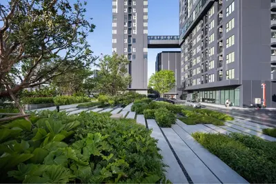 Modiz Sukhumvit 50 โมดิซ สุขุมวิท 50の1ベッドルームコンドミニアム（賃貸）、写真6/7