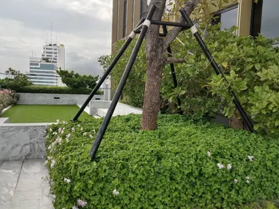 Condo for rent at The Issara Sathorn (ดิ อิสสระ สาทร), photo 4 of 5