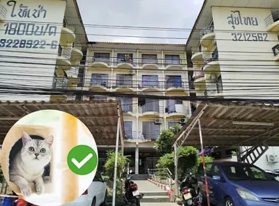 Apartment for rent near BTS On Nut, photo 1 of 5