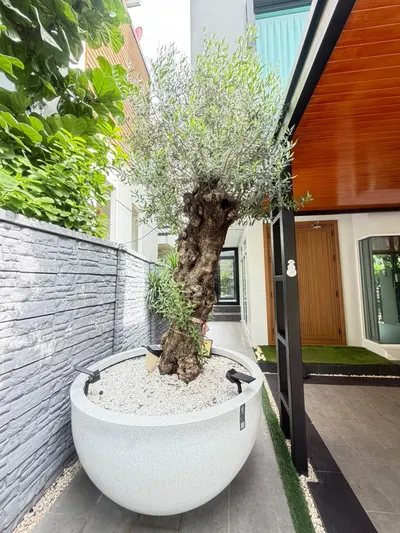 Maison de ville 3 chambres à vendre près de la station MRT Lat Phrao, photo 2 sur 5