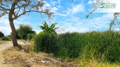 Land for sale near ARL Lat Krabang, photo 3 of 4