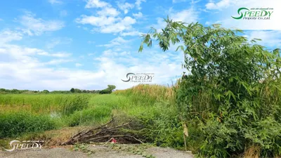 Land for sale near ARL Lat Krabang, photo 1 of 4