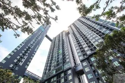 Modiz Sukhumvit 50 โมดิซ สุขุมวิท 50の1ベッドルームコンドミニアム（賃貸）、写真8/10