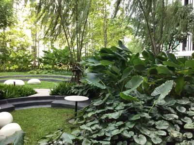 ให้เช่าคอนโด 1 ห้องนอน Atmoz Oasis Onnut รูปที่ 1 จาก 9