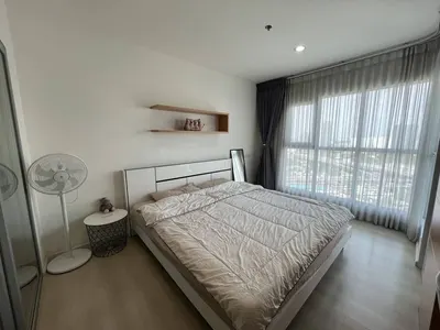 Aspire Sukhumvit 48の1ベッドルームコンドミニアム（賃貸）、写真9/9