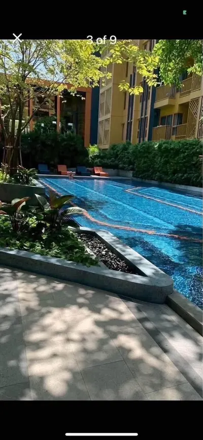 Condo 1 chambre à louer à THE BASE Sukhumvit 50, photo 1 sur 5