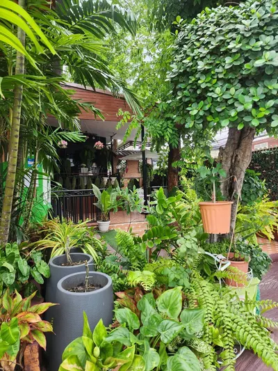 Apartment for rent near BTS On Nut, photo 3 of 5