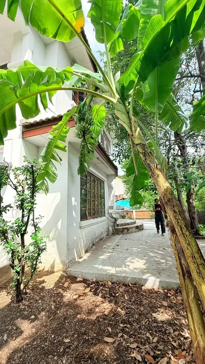 MRT 邦凯站附近的3房独栋住宅出售，第4张，共5张
