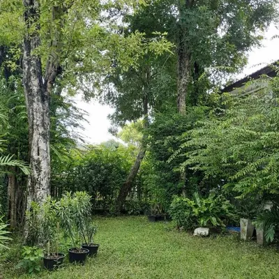 ARL 兰甘亨站附近的4房独栋住宅出租，第3张，共5张