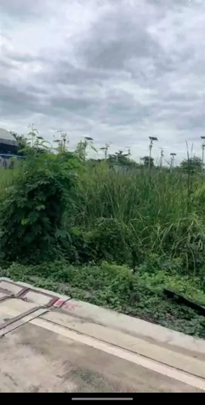 Land for sale near ARL Lat Krabang, photo 4 of 5