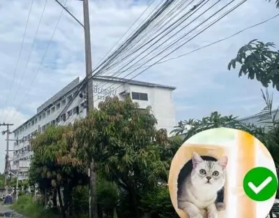 Appartement à louer près de la station BTS On Nut, photo 1 sur 5