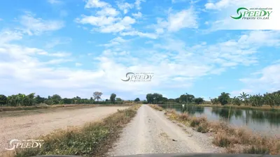 Terrain à vendre près de la station ARL Lat Krabang, photo 4 sur 4